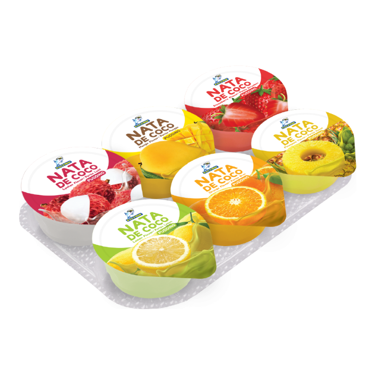 Pudding with Nata De Coco (85g) Manufacturer Malaysia Pudding with Nata De Coco (85g) Supplier