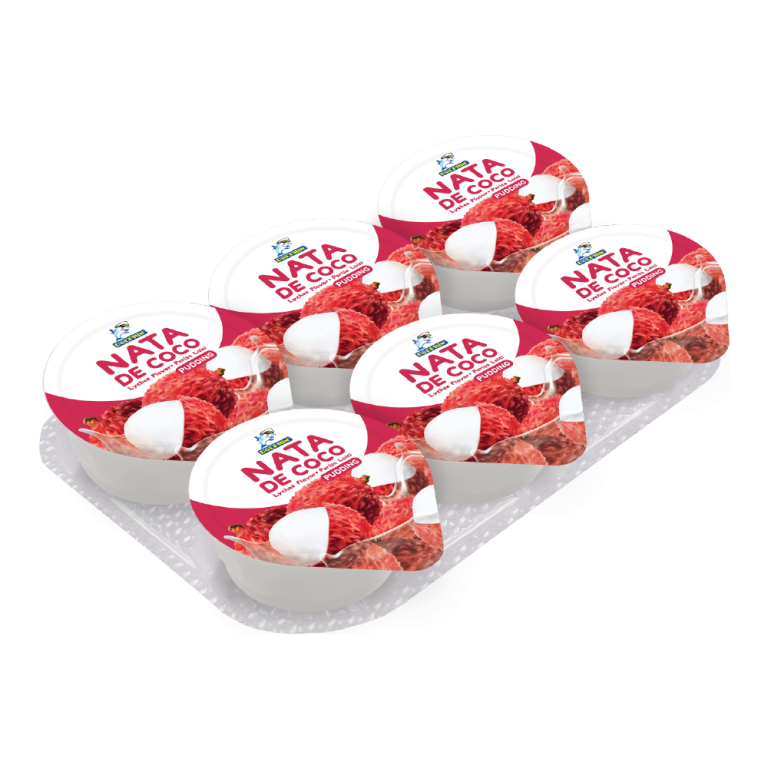Pudding with Nata De Coco (85g) Manufacturer Malaysia Pudding with Nata De Coco (85g) Supplier