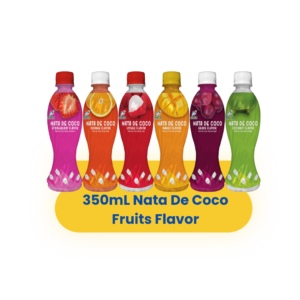 Nata De Coco with Fruit Flavor (350ml x 24bottles)